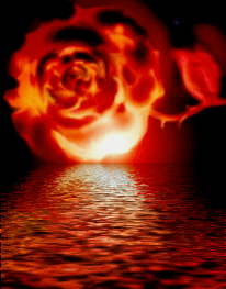 bonsoir a toute et touts