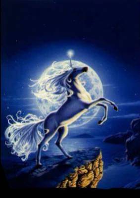 bonne nuit a toute et touts faite de beaux r�ve bissssssssss