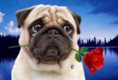 la tristece sa fait mal  au coeur