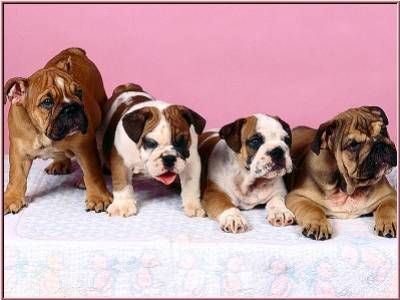 bon dimanche a vous bissssssssss