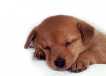 salut a toute et touts