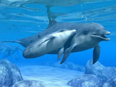 bonjour passer un bon vendredi plein de bonheur et de joie bisss