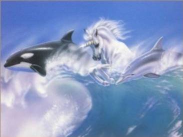 bonjour a touts passe un bon samedi bissss