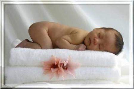 bonjour passer un bon lundi bissssssssss