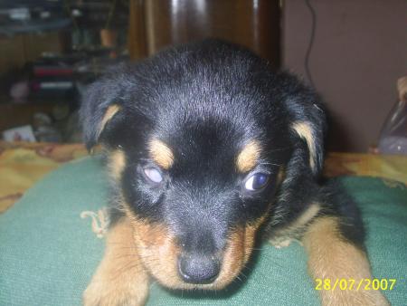 bonjour les ami(e) bis