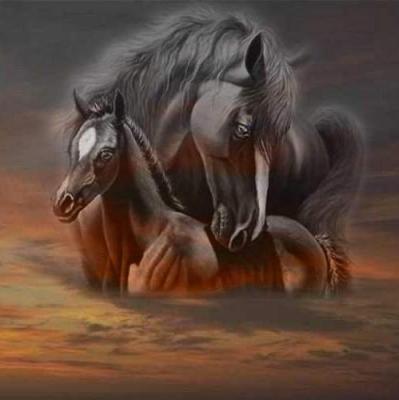 bonsoir a toute et tout mes ami et  amie faite de beaux reve bisous