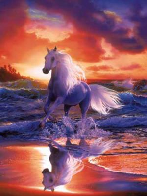 bonsoir a tout mes ami(e) bisous