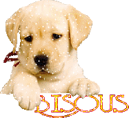 bonjour a tout mes ami(e)